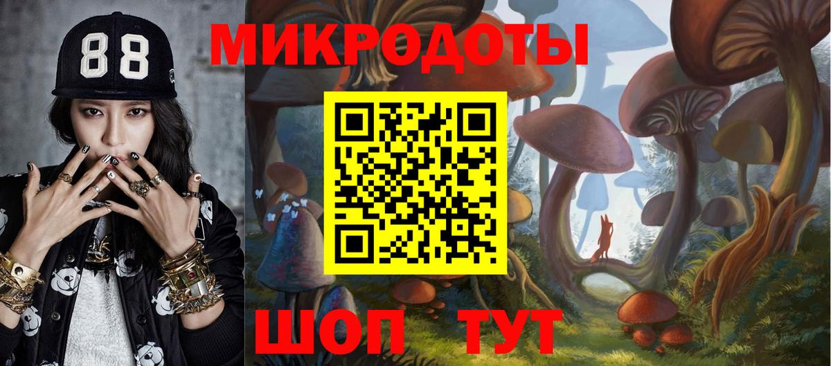 Псилоцибиновые грибы GOLDEN TEACHER  Вход с VPN  Псилоцибиновые грибы Psilocybine cubensis  Котельники 